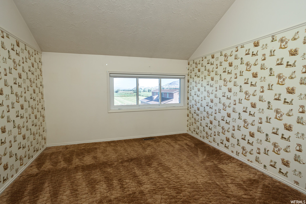 Unfurnished room featuring carpet, vaulted ceiling, and a textured ceiling