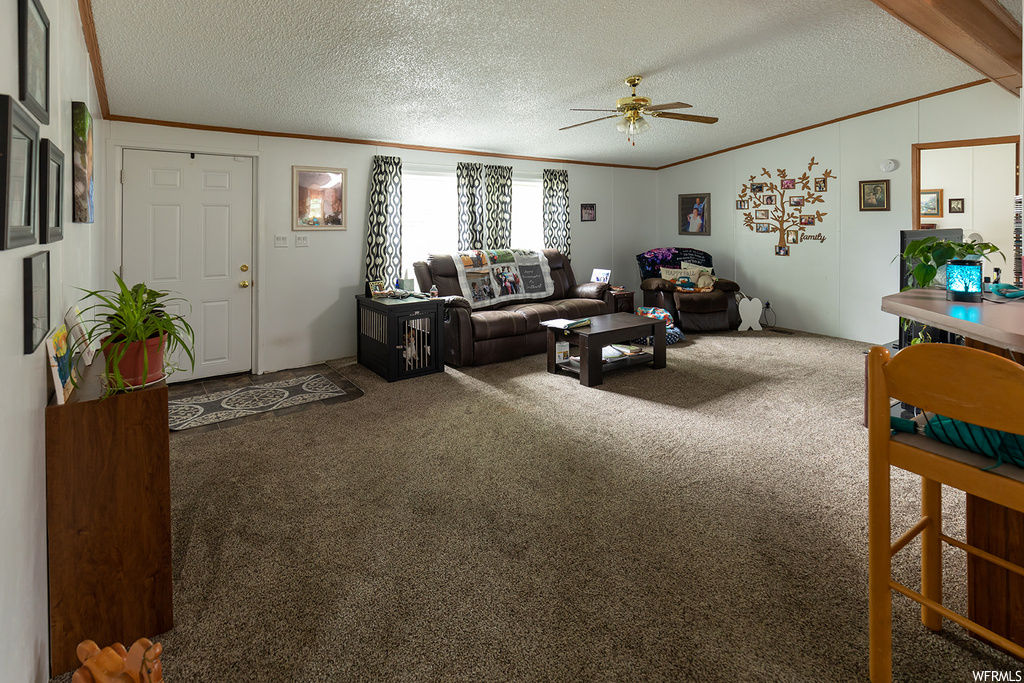 Living room featuring a ceiling fan, carpet, and natural light