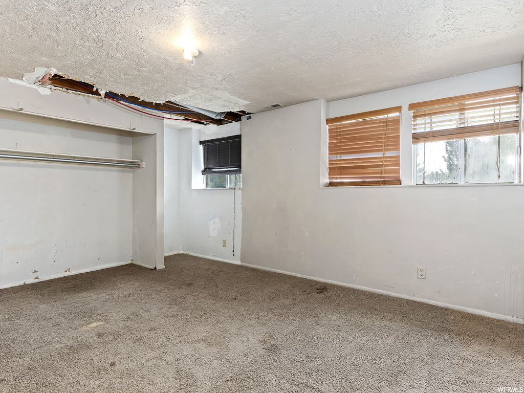 Spare room featuring carpet and natural light