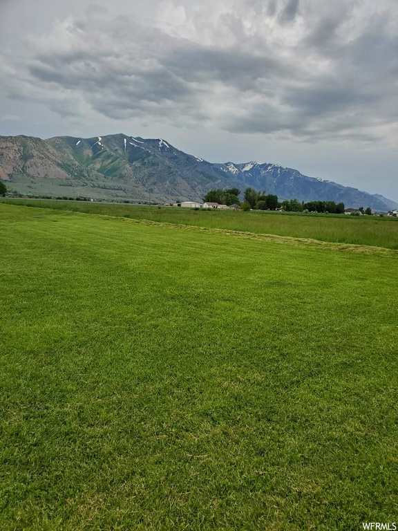 4979 W 12000 N Tremonton, UT 84337