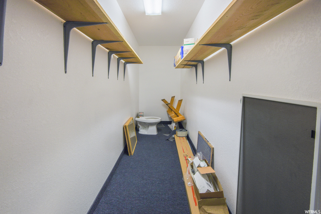Wardrobe featuring carpet