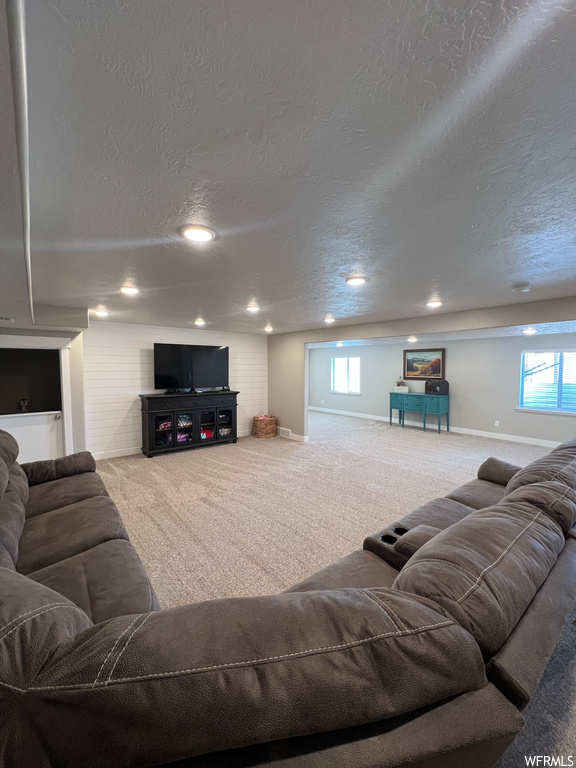 Carpeted living room with natural light and TV