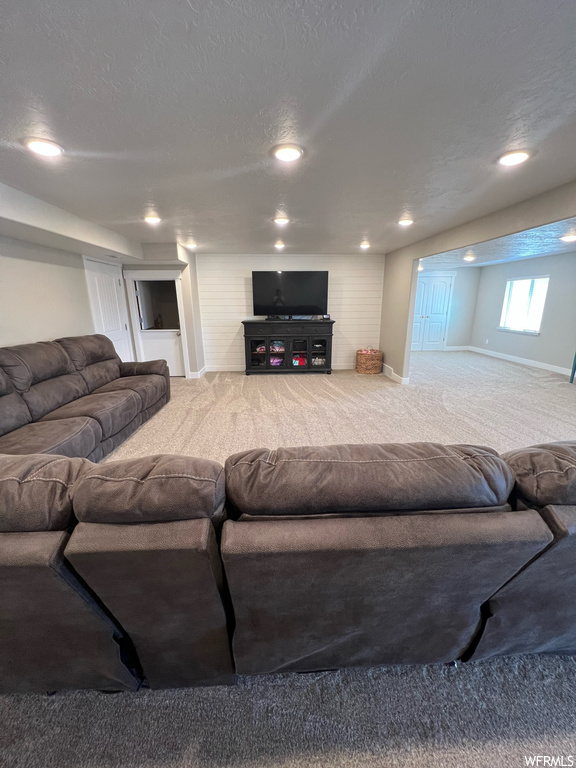 Carpeted living room featuring TV
