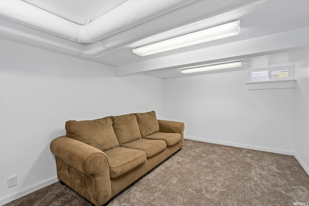 Living room with carpet