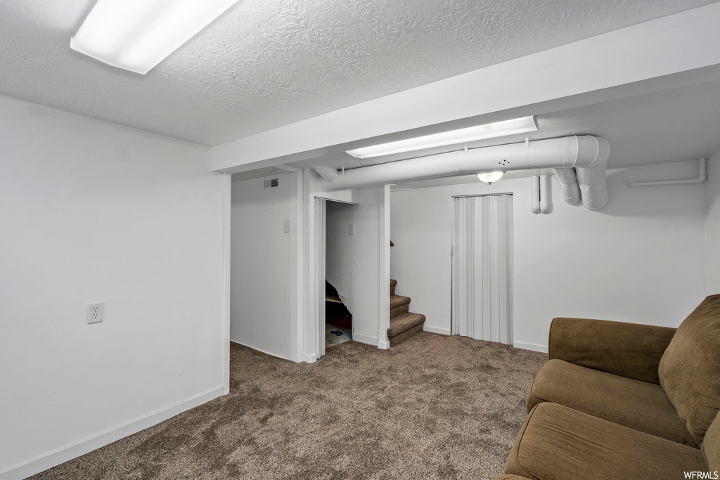 Basement featuring carpet