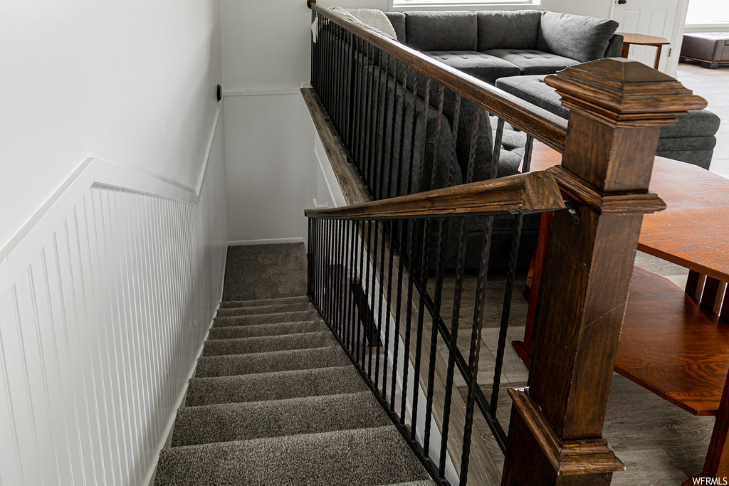 Stairs featuring carpet
