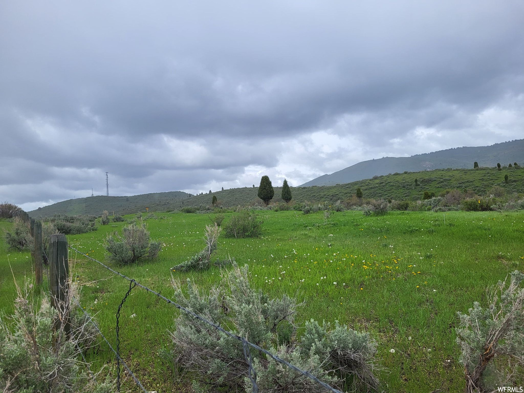 Mountain view with a lawn