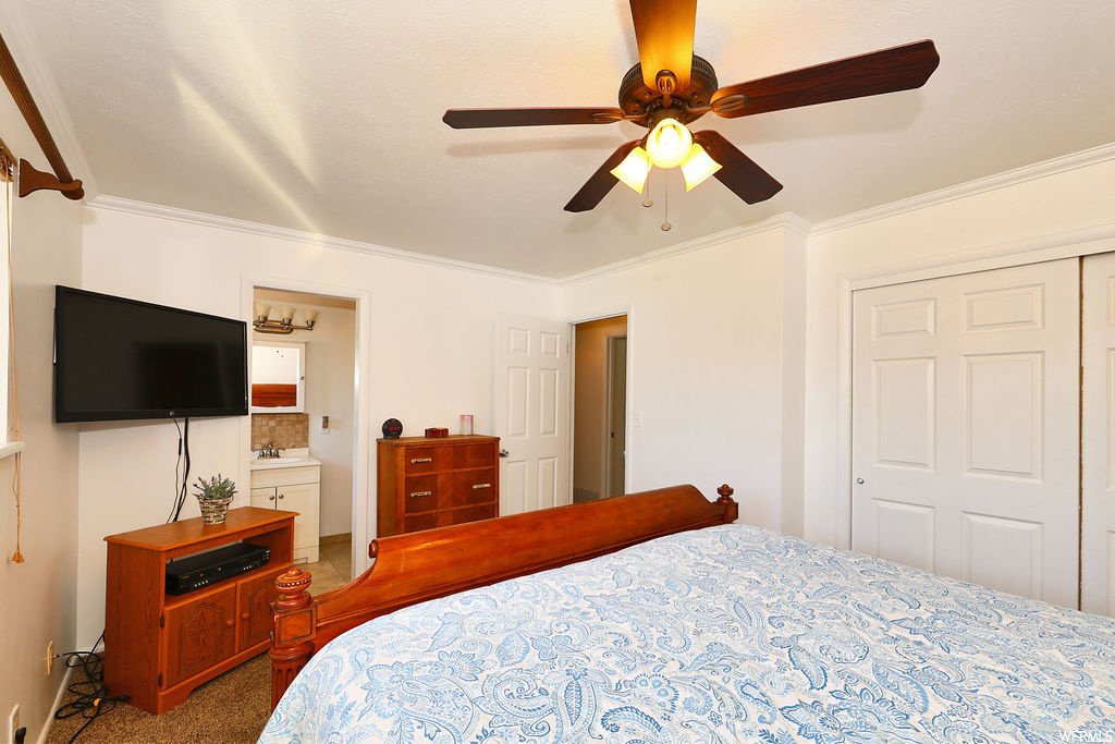 Bedroom with carpet, a ceiling fan, and TV