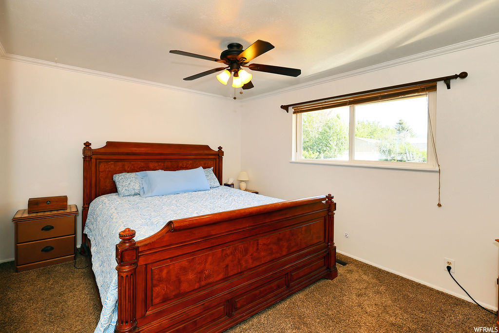 Bedroom featuring a ceiling fan, carpet, and natural light