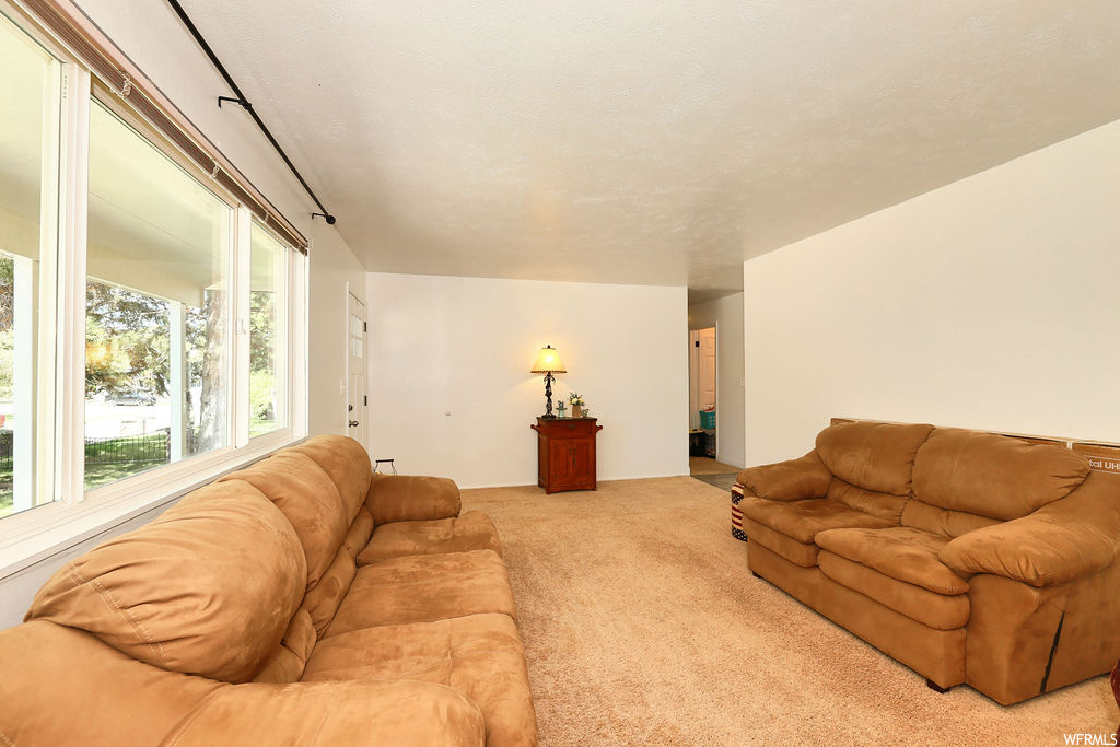 Carpeted living room with natural light