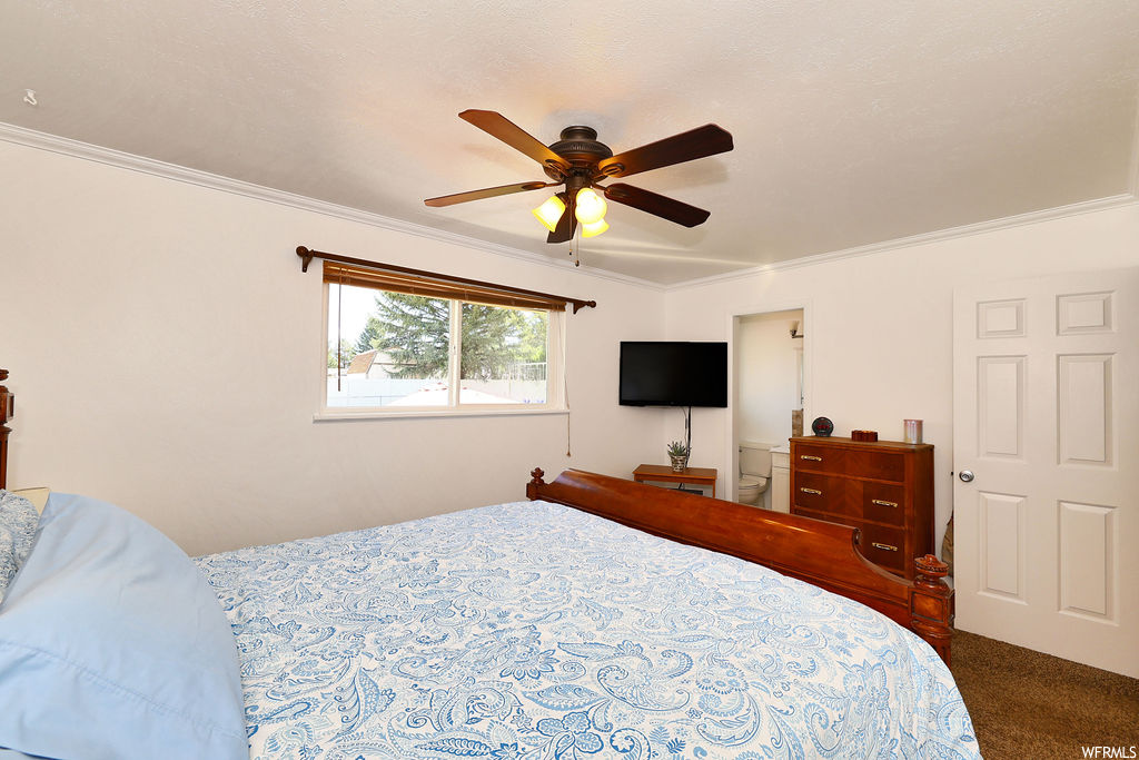 Carpeted bedroom with a ceiling fan, natural light, and TV