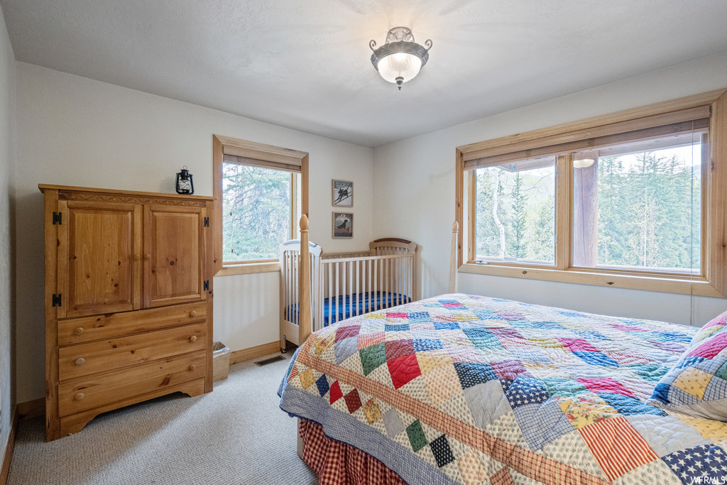 Bedroom with natural light and carpet