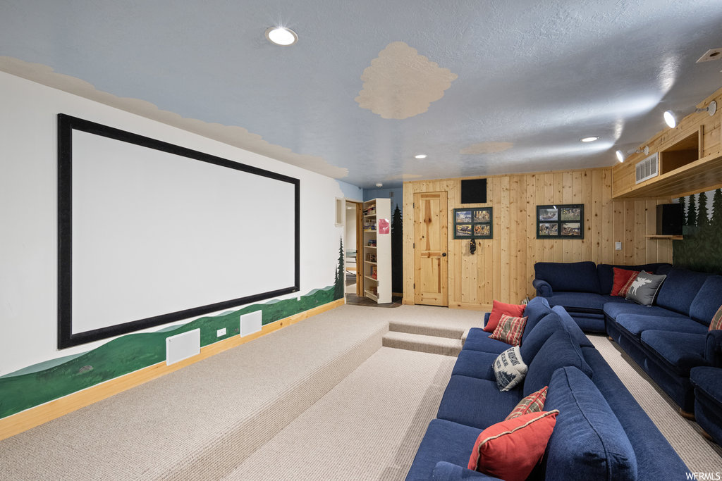 Cinema room with carpet