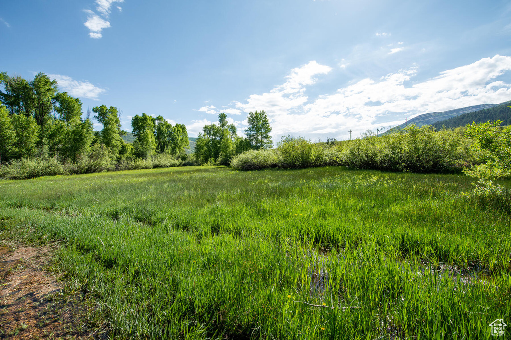 View of local wilderness featuring a mountain view