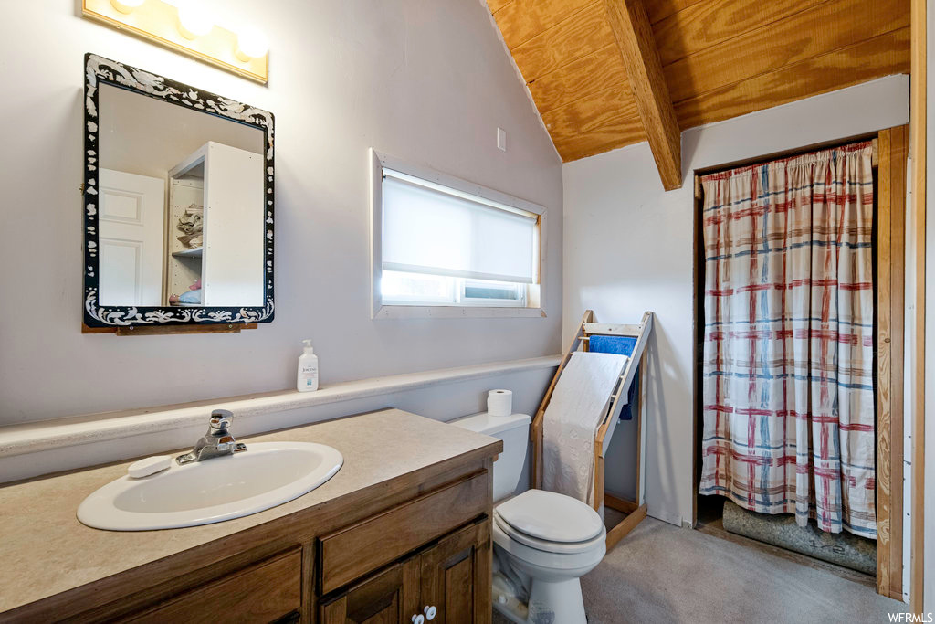 Bathroom with natural light, mirror, shower curtain, toilet, and vanity