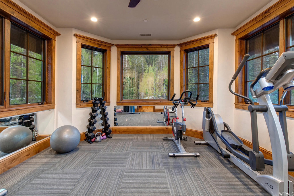 Workout room featuring carpet