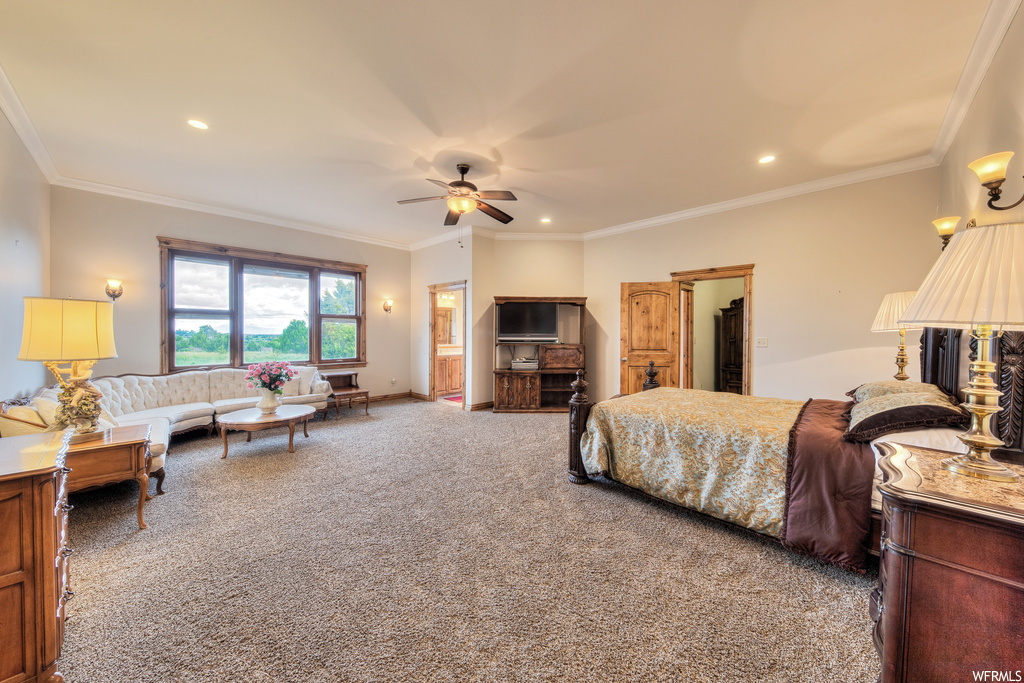 Carpeted bedroom featuring a ceiling fan, natural light, and TV