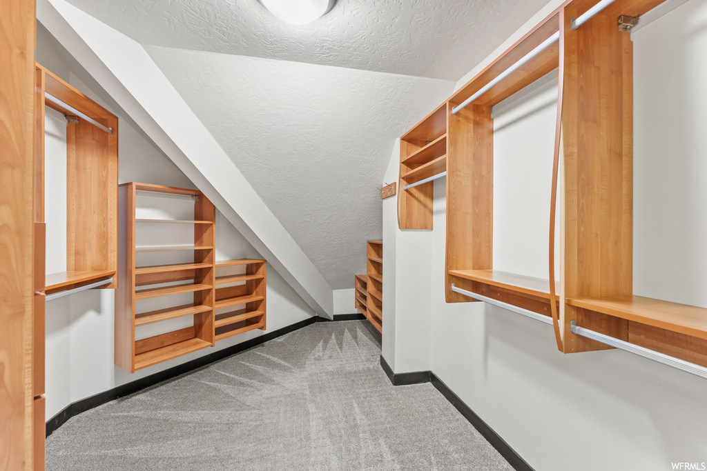 Walk in closet with carpet