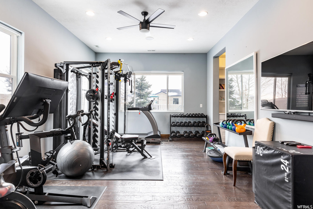 Exercise room featuring wood-type flooring, natural light, and TV