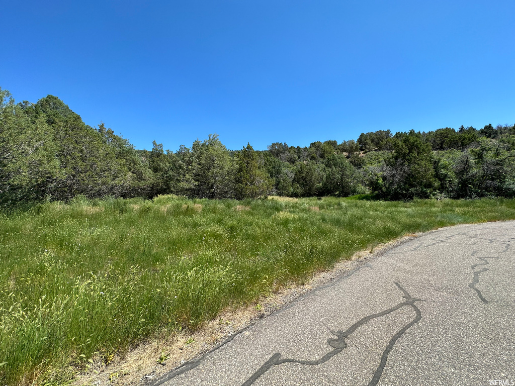 View of road with a lawn