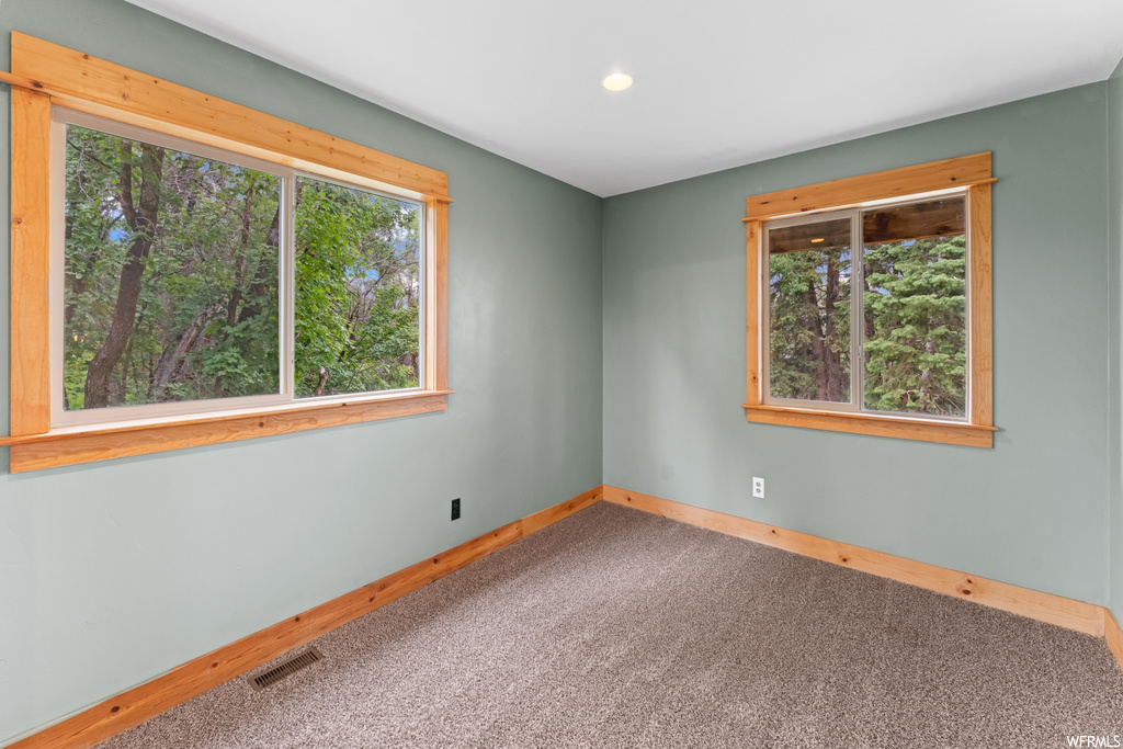 Carpeted spare room featuring natural light