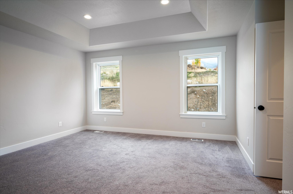Unfurnished room featuring a tray ceiling, a wealth of natural light, and carpet
