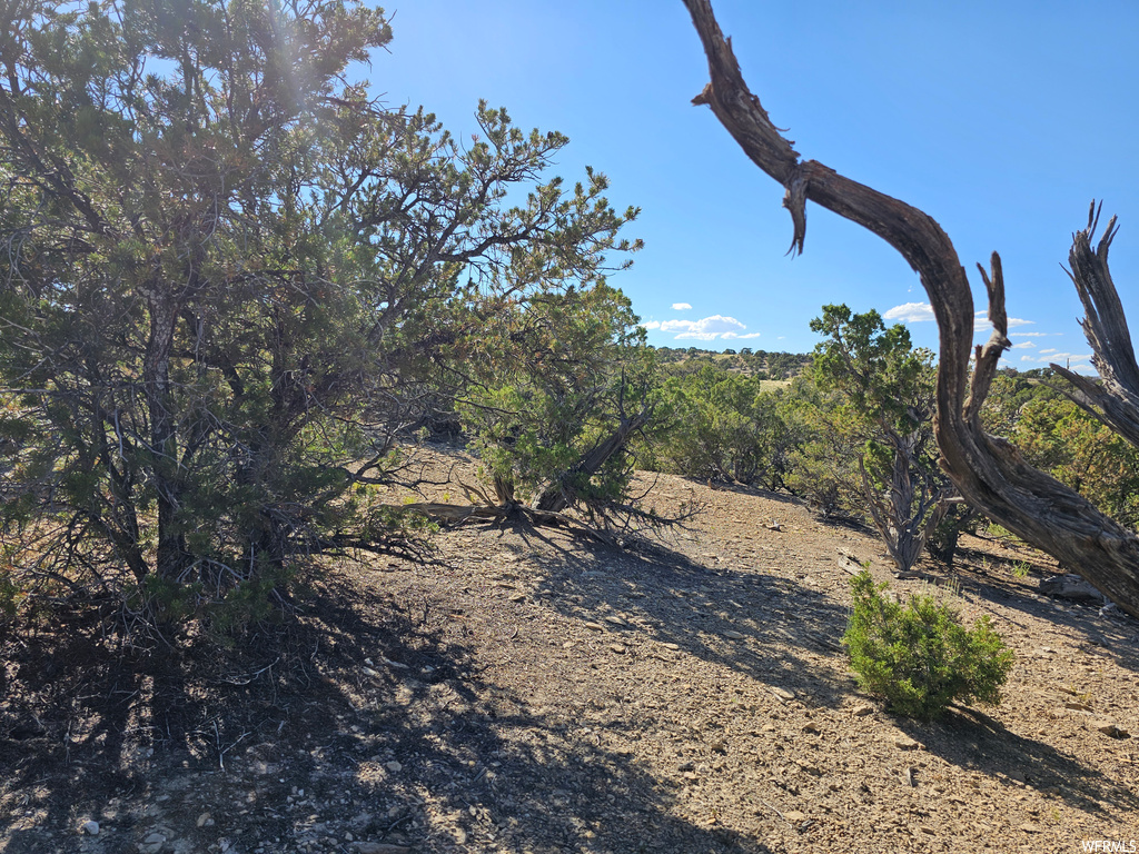 View of nature