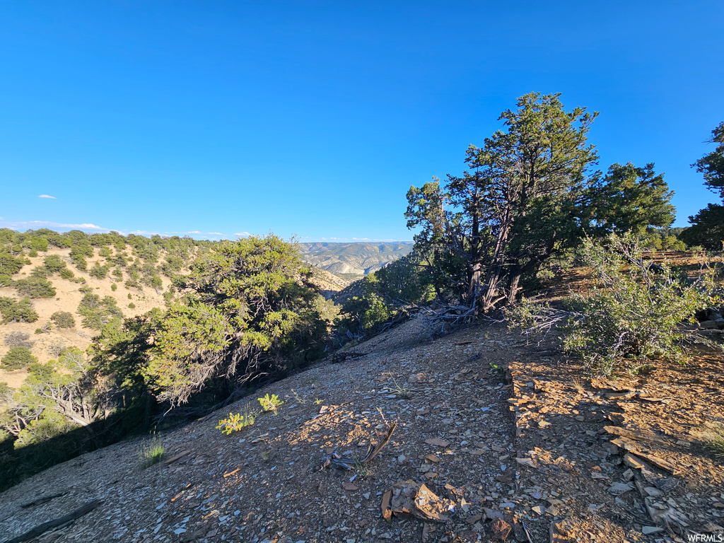 View of mother earth's splendor