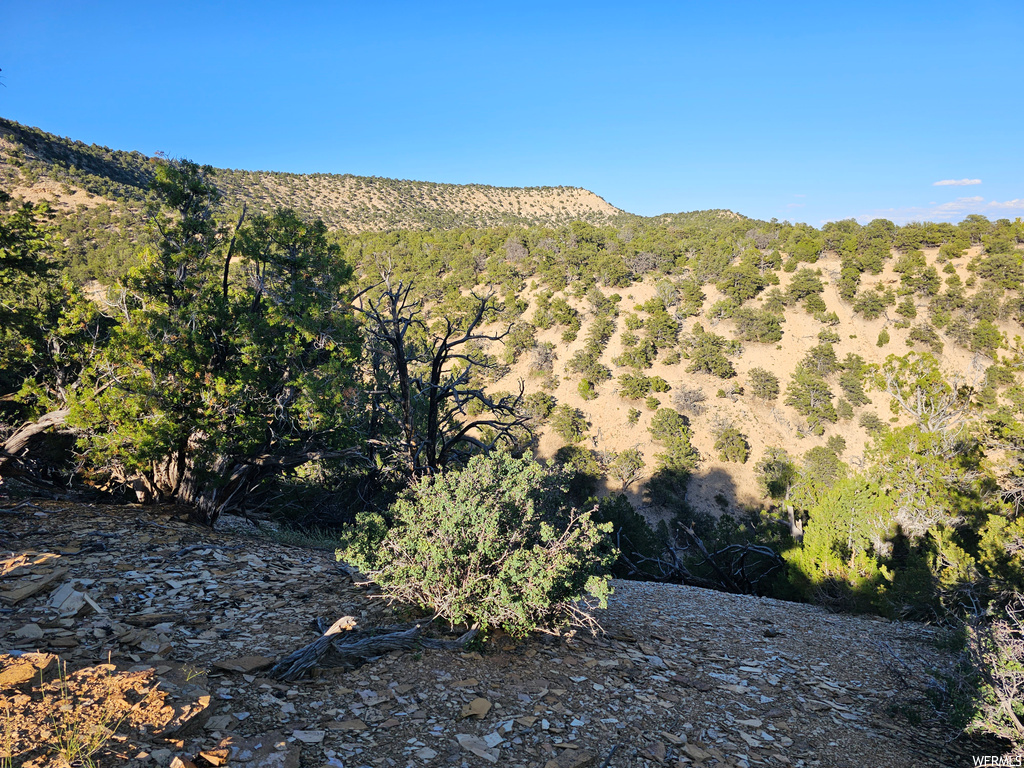 View of mountain feature