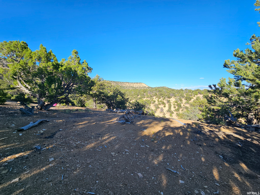 View of mother earth's splendor featuring a mountain view