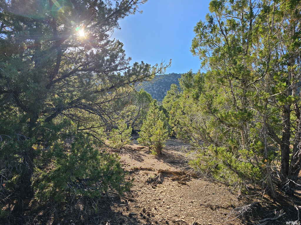 View of mountain view