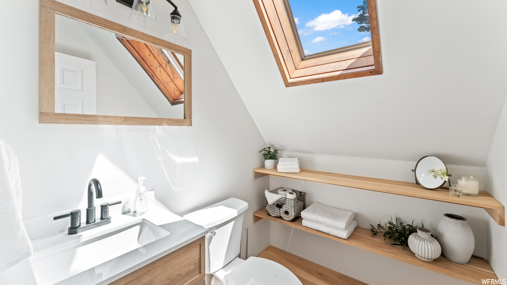 Half bath featuring skylight, mirror, toilet, and large vanity