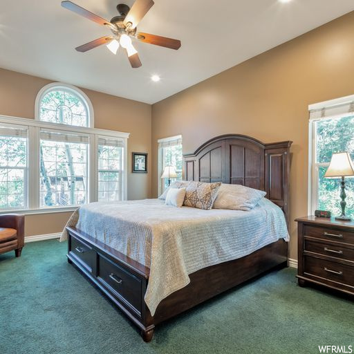 Carpeted bedroom with multiple windows and a ceiling fan
