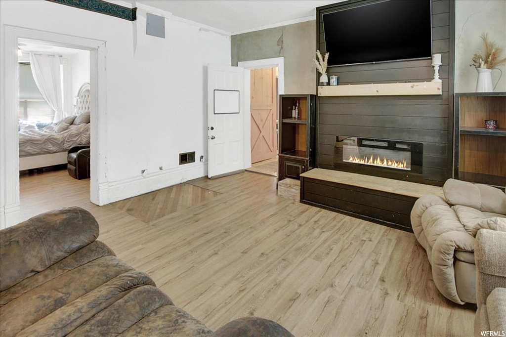 Living room with wood-type flooring, a fireplace, and TV