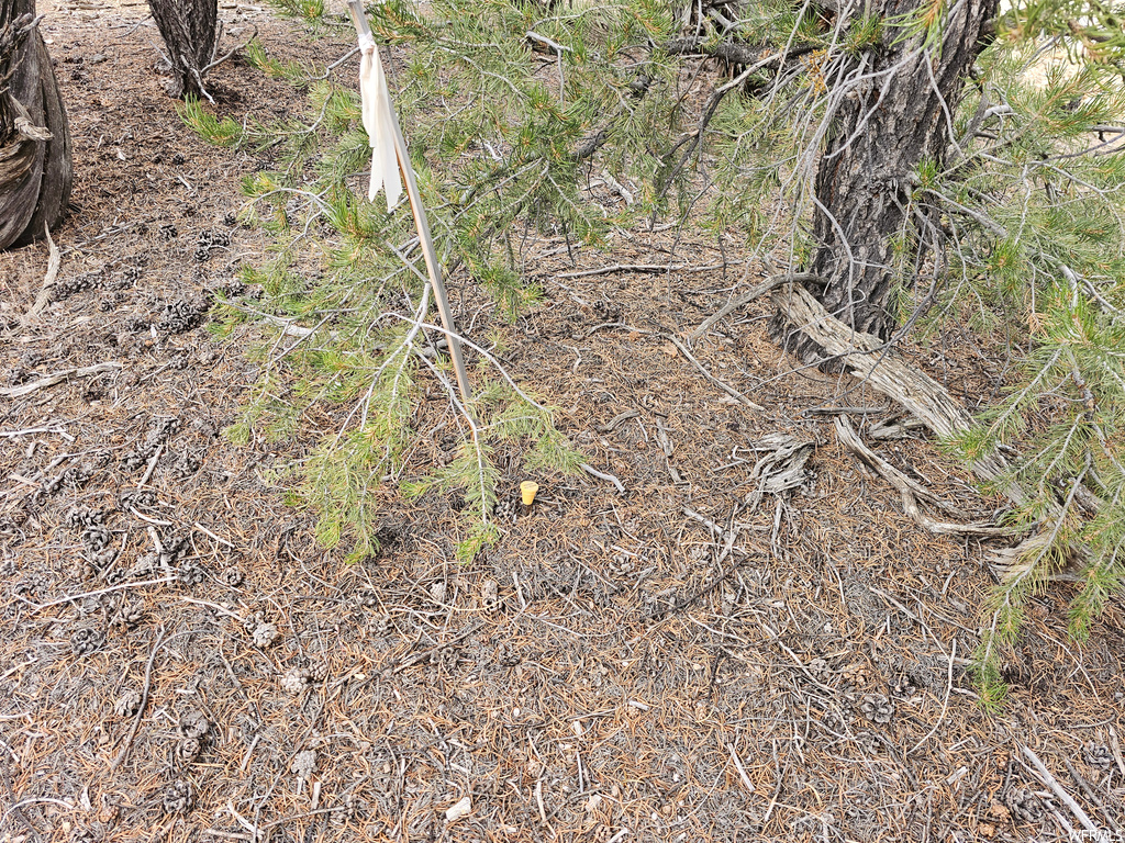  Fruitland, UT 84027