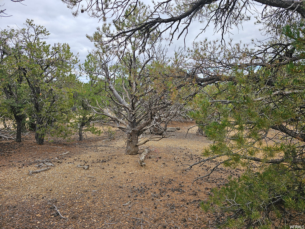  Fruitland, UT 84027