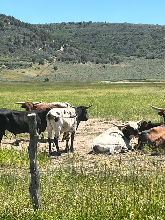 Milburn UT 84629 277,000