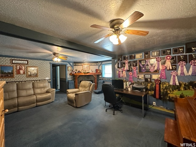 Carpeted office space with a ceiling fan, natural light, a fireplace, and TV