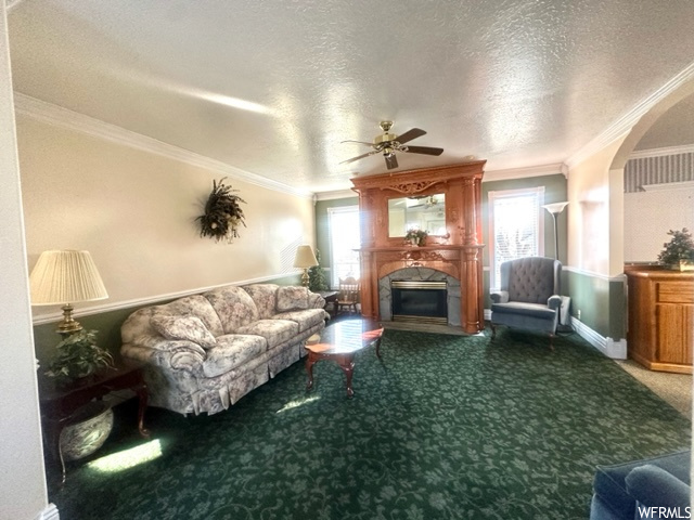 Carpeted living room featuring ceiling fan, crown molding, and a textured ceiling