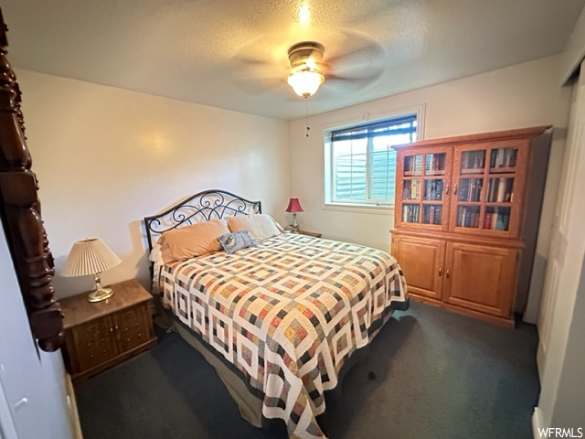 Carpeted bedroom with natural light and a ceiling fan