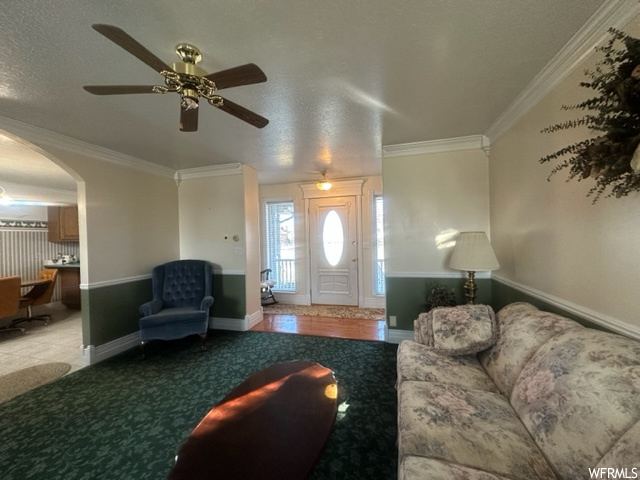 Living room featuring ceiling fan, light carpet, crown molding, and a textured ceiling