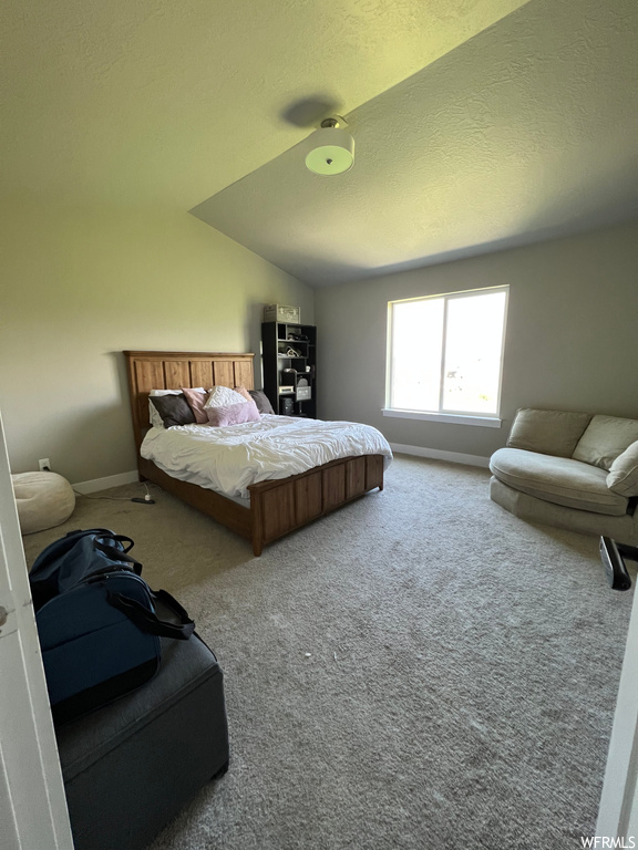 Carpeted bedroom with natural light and vaulted ceiling
