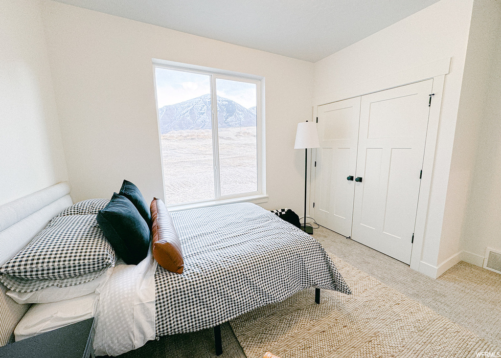 Carpeted bedroom featuring a closet and a mountain view