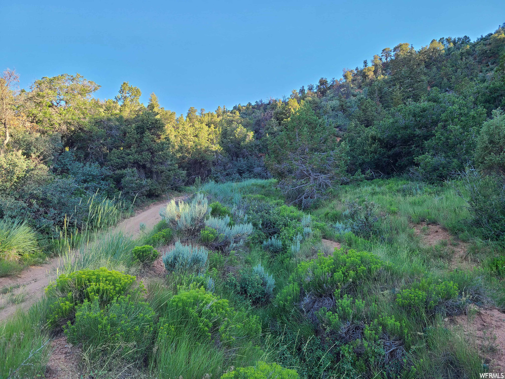View of nature