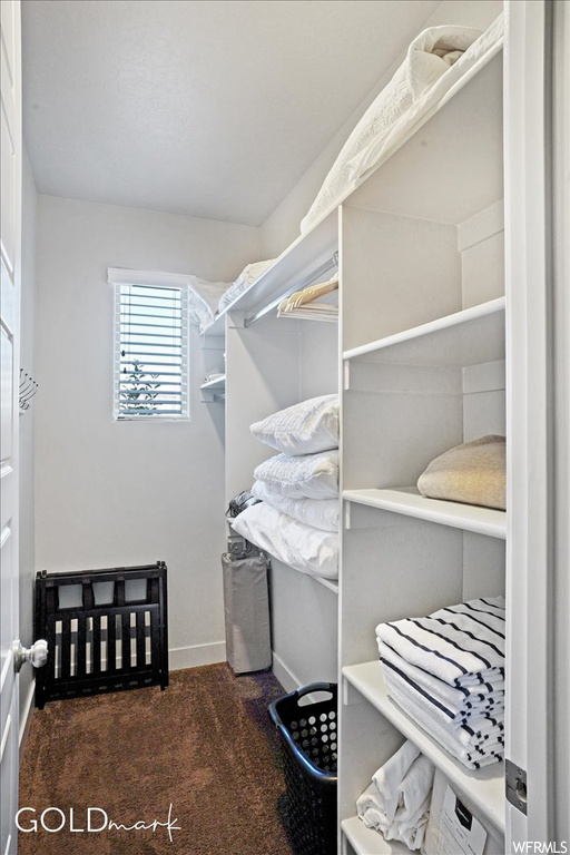 Walk in closet with natural light