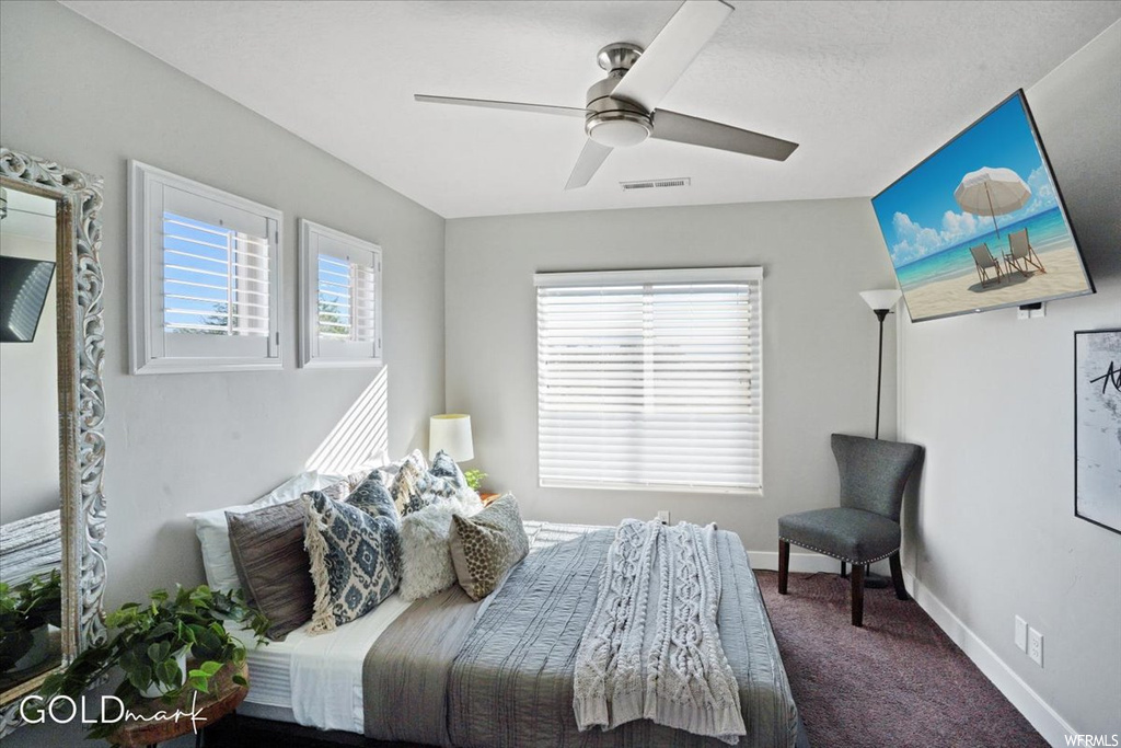 Bedroom with a ceiling fan, multiple windows, and TV