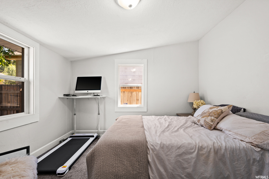 Carpeted bedroom with TV and lofted ceiling