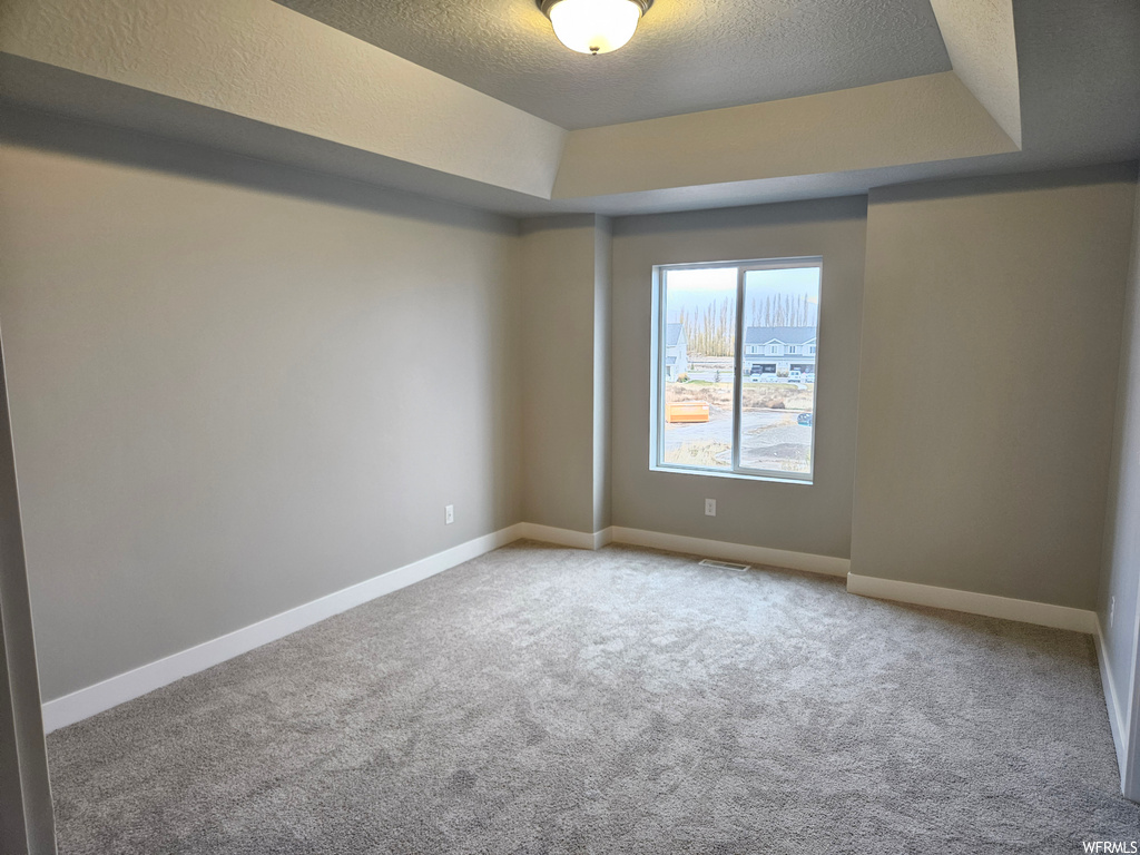Unfurnished room featuring a tray ceiling, a textured ceiling, and light carpet