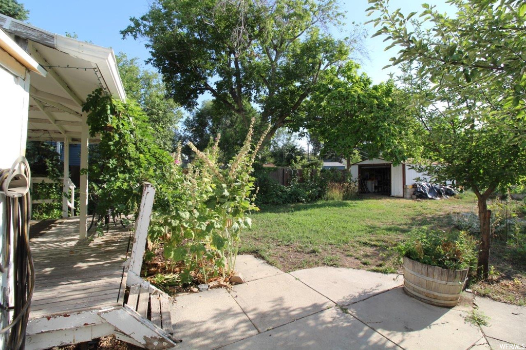 View of yard featuring a patio and a shed