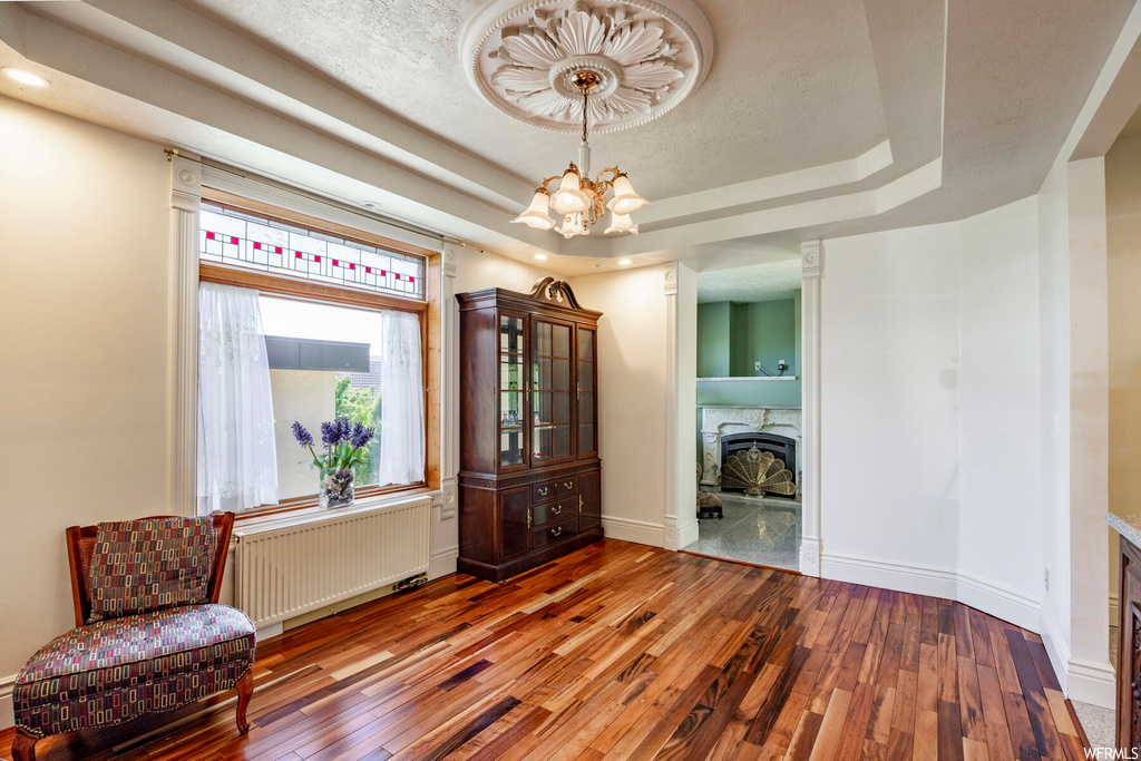 Wood floored entrance foyer with a fireplace, a tray ceiling, and radiator heating unit